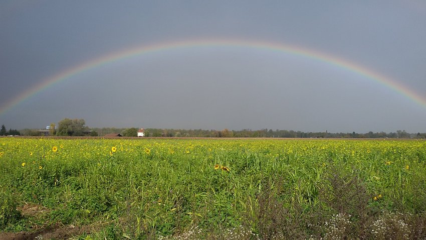 Regenbogen